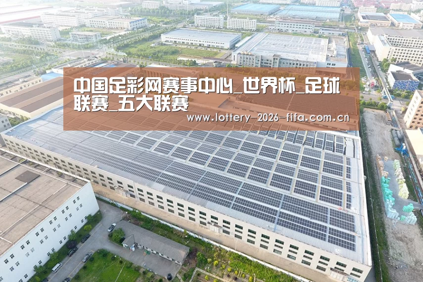 案例展示二