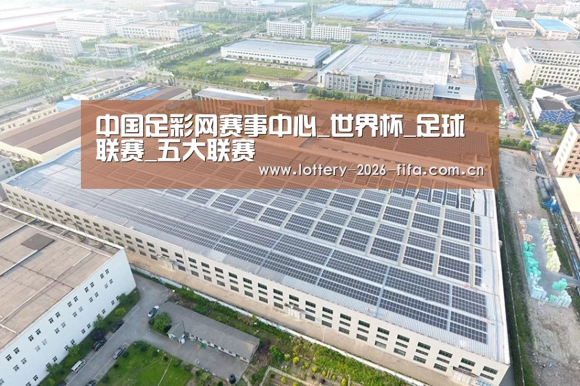 案例展示二