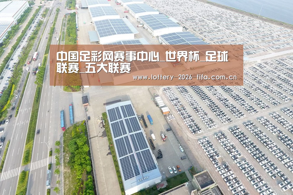 案例展示一