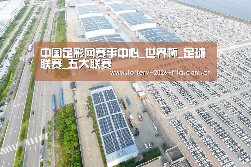 案例展示一