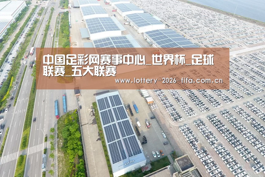 案例展示四
