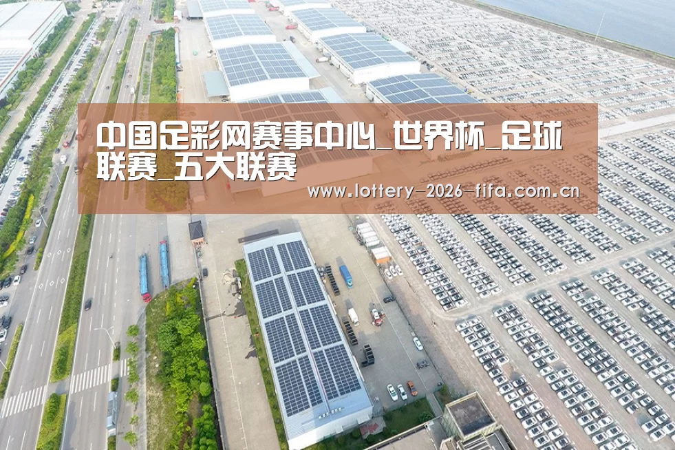 案例展示三
