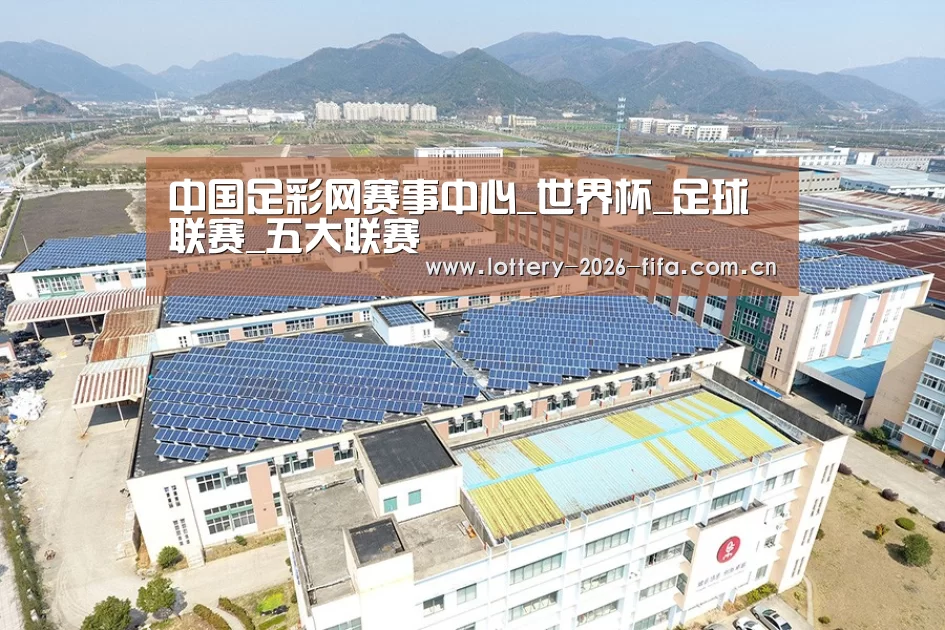 案例展示三